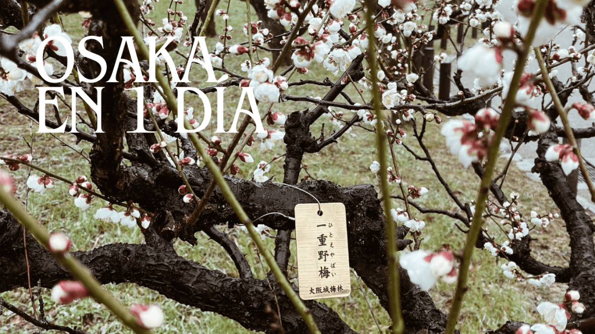 Qué ver en Osaka en 1&nbsp;día