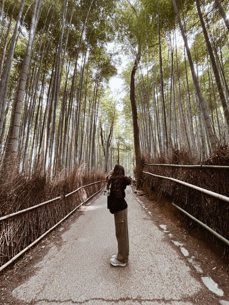 Bosque de bambú de Arashiyama