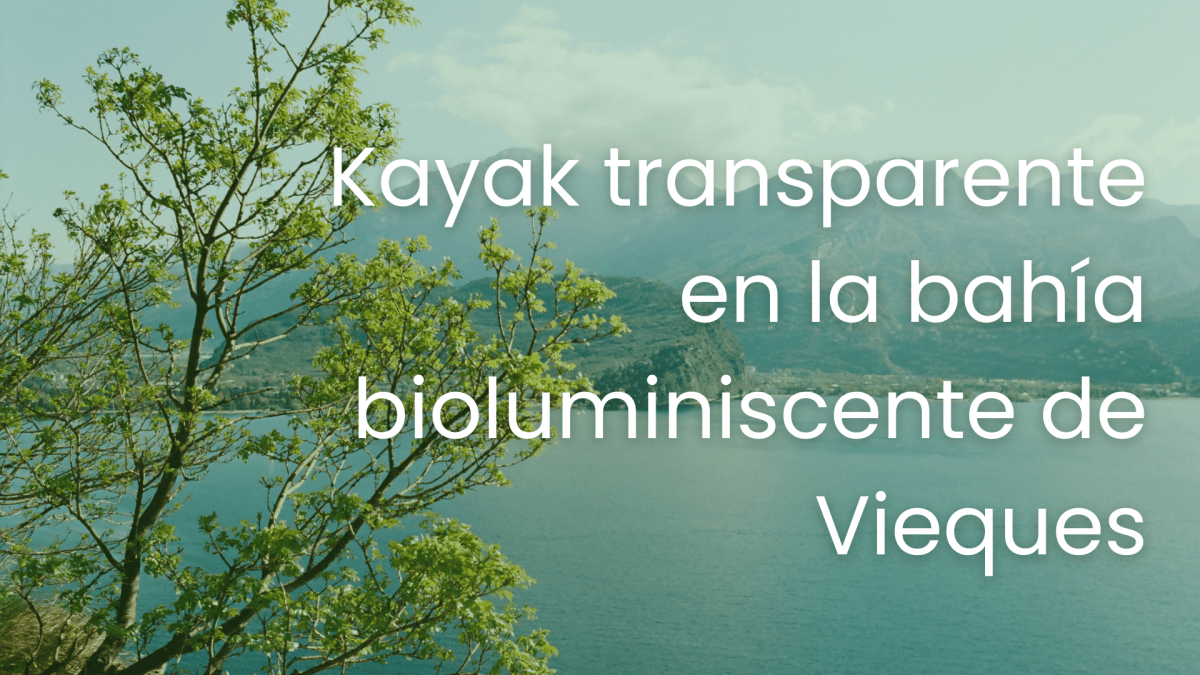 Kayak transparente en la bahía bioluminiscente de Vieques: nuestra experiencia real con&nbsp;Viator